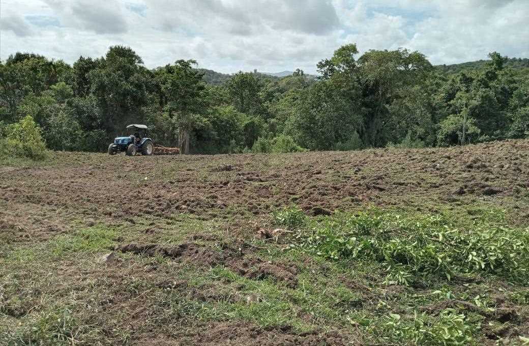 Camacã: Prefeitura chega a 25 agricultores beneficiados na aração de terras



